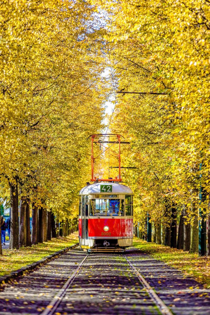 Railway between yellow leaves trees